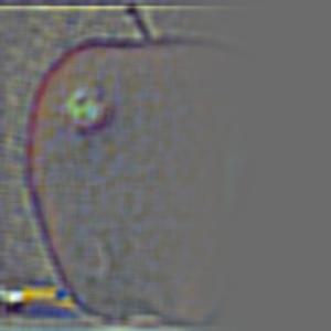 Description of figure2_3_1