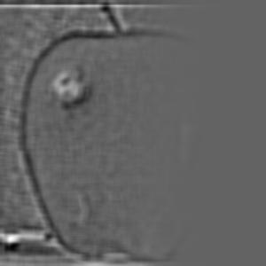 Description of figure2_5_1