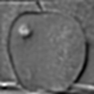 Description of figure2_5_10