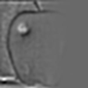 Description of figure2_5_2