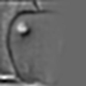 Description of figure2_5_3