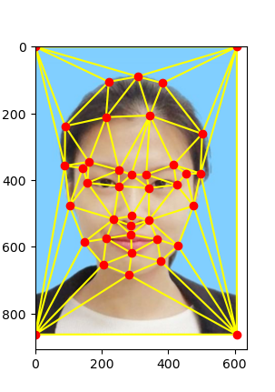 Description of figure1_2