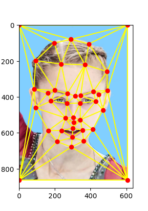 Description of figure1_3